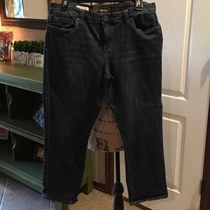 Kut From The Kloth Bardot Skinny Cropped Jeans